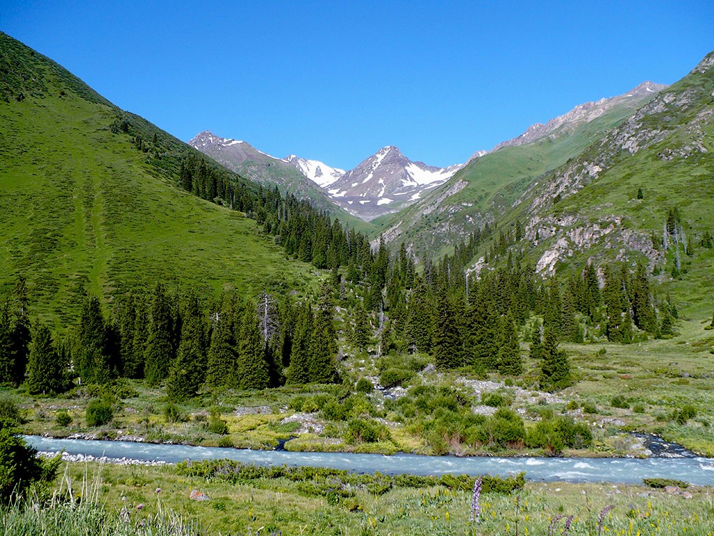 It is planned to open a visitor center for tourists "Visit Jetisu" in the city of Tekeli.