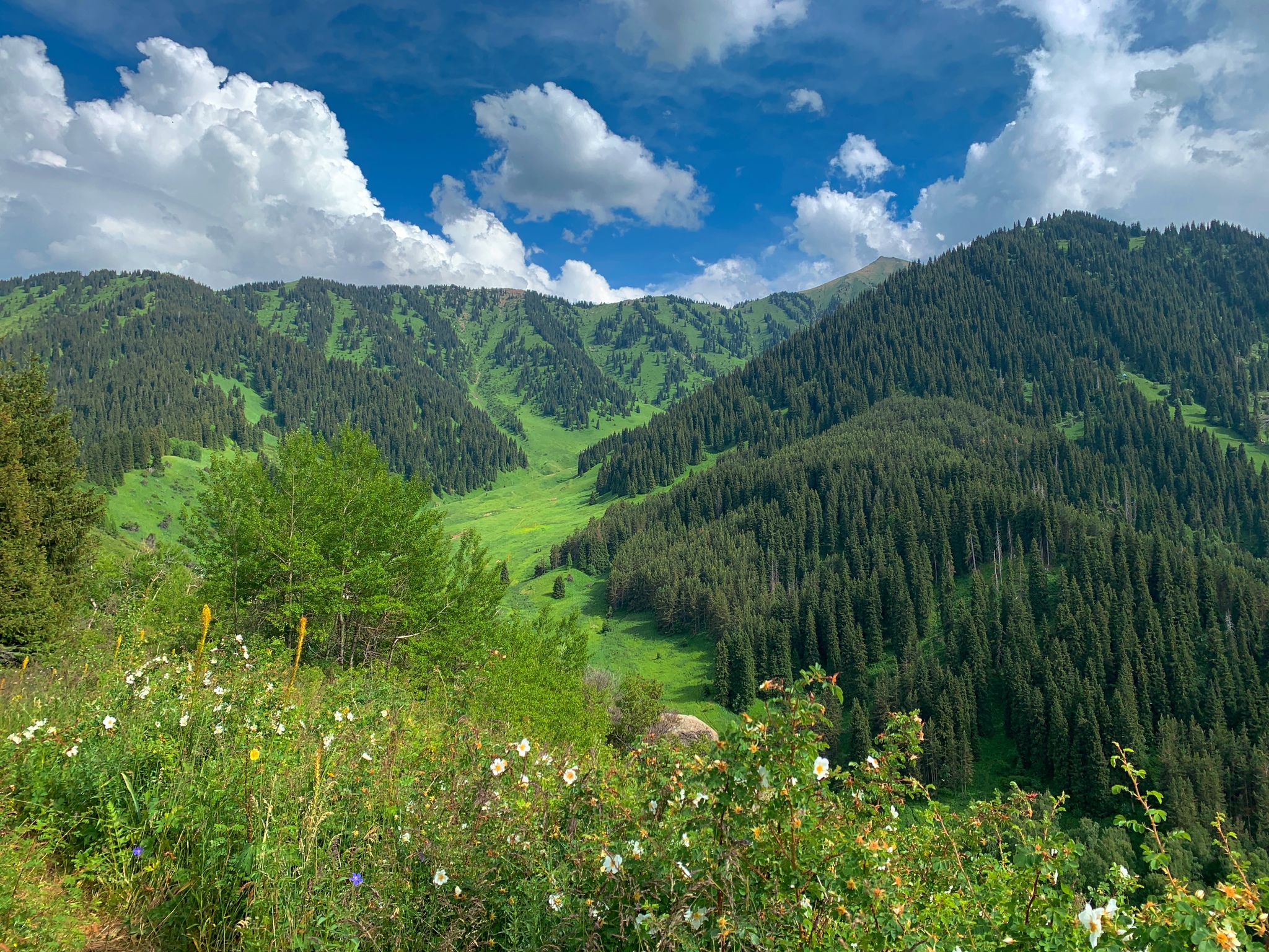 Сарнакой - гора Суыктобе