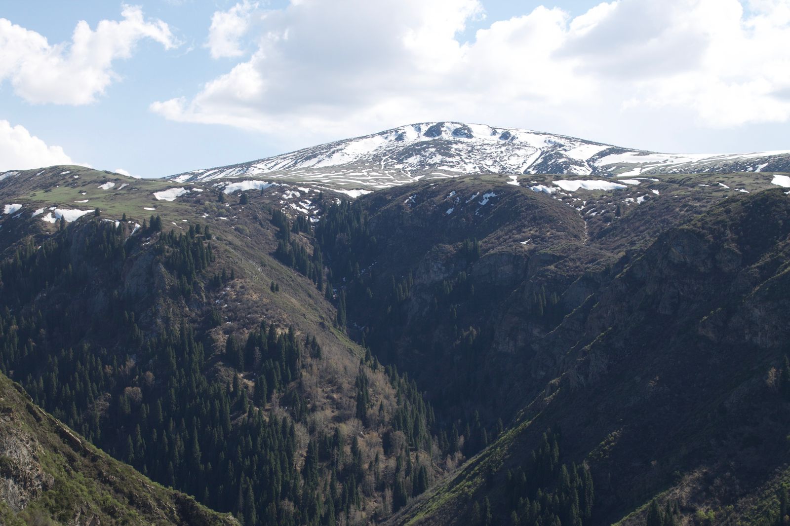 Черкасай